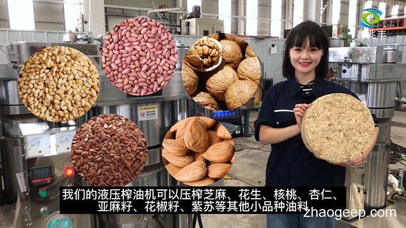 鑫兆豐全自動(dòng)液壓榨油機(jī)有什么特點(diǎn)優(yōu)勢(shì)
