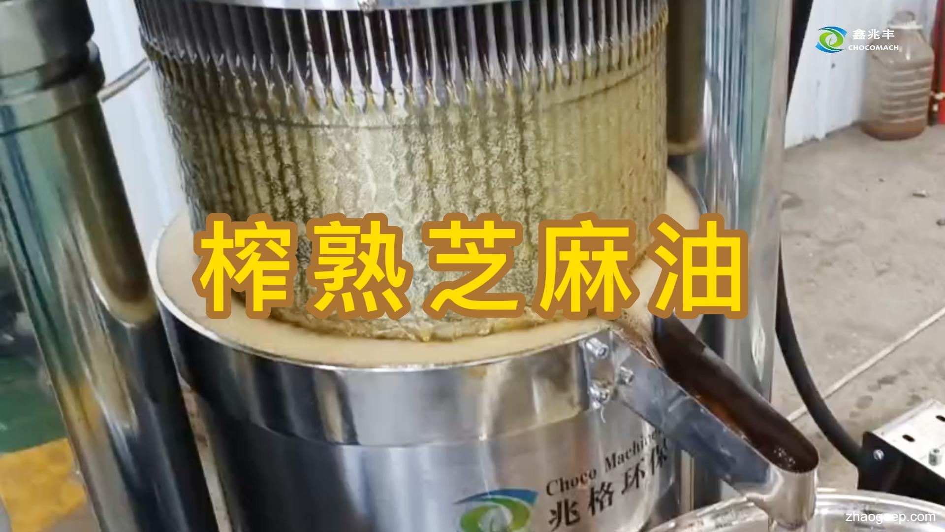 鑫兆豐全自動(dòng)液壓榨油機(jī)怎么提升芝麻油的出油率