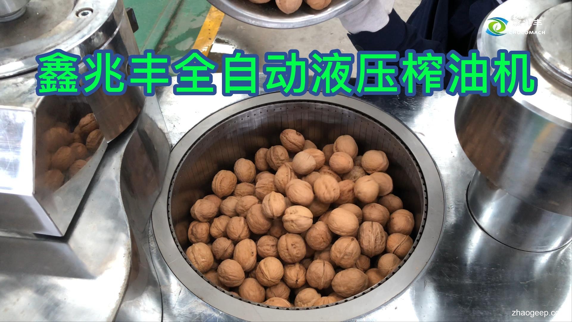鑫兆豐全自動(dòng)液壓榨油機(jī)壓榨帶皮核桃鐵核桃