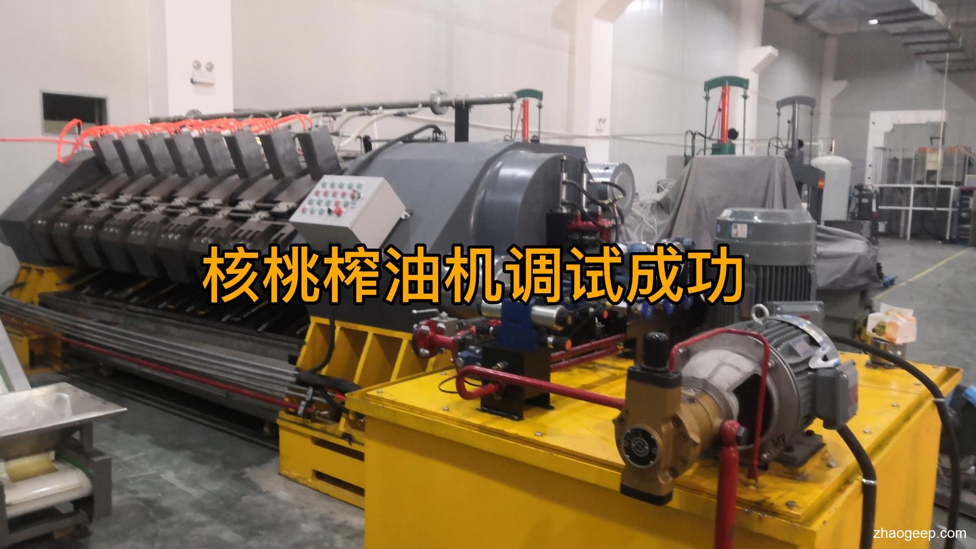 鑫兆豐YZYW全自動液壓榨油機(jī) 成功案例新核桃榨油機(jī)投料調(diào)試成功 