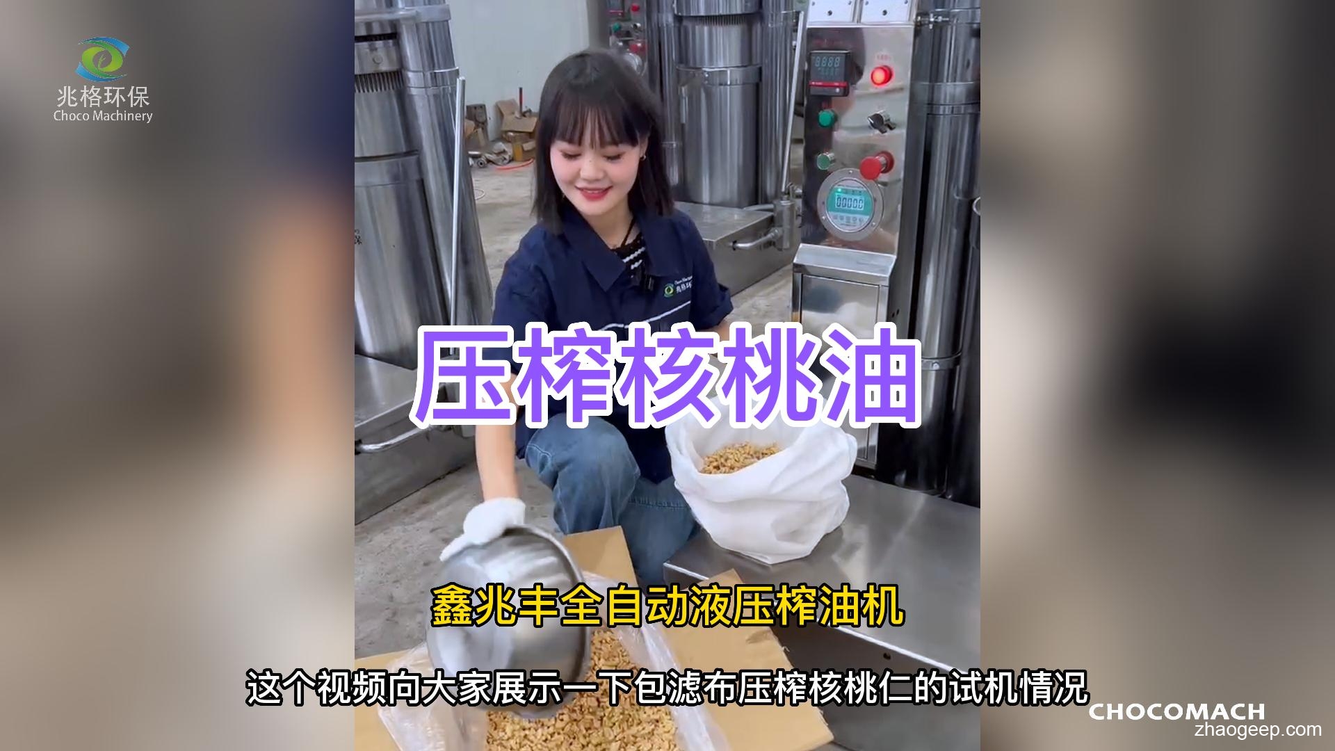 鑫兆豐YZL全自動液壓榨油機 核桃榨油機 專業(yè)廠家鮮榨核桃油