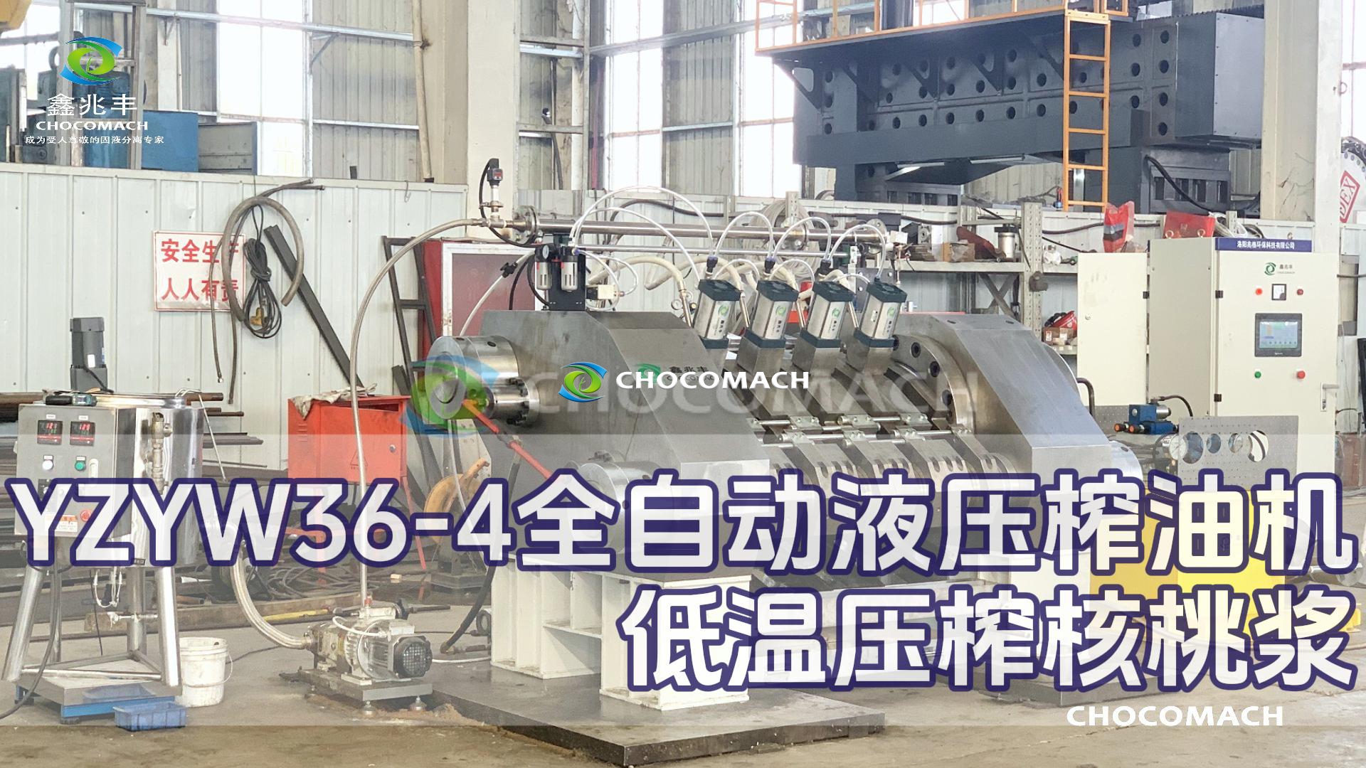 洛陽兆格環(huán)保YZYW36-4全自動核桃榨油機
